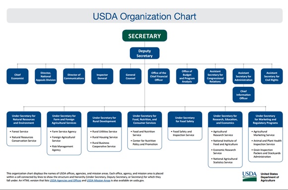 Hhs Cio Org Chart