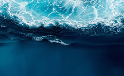 PERSPECTIVES: The Next AI Wave: Quantum AI